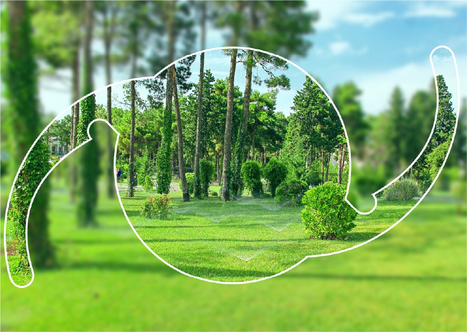 多焦点眼内レンズ